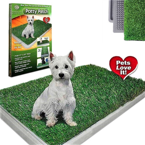Baño ecológico para mascotas